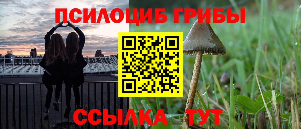 Галлюциногенные грибы мухоморы  Вход с VPN  что такое   Протвино 